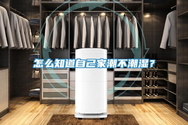 怎麽知道自己家潮不潮濕？