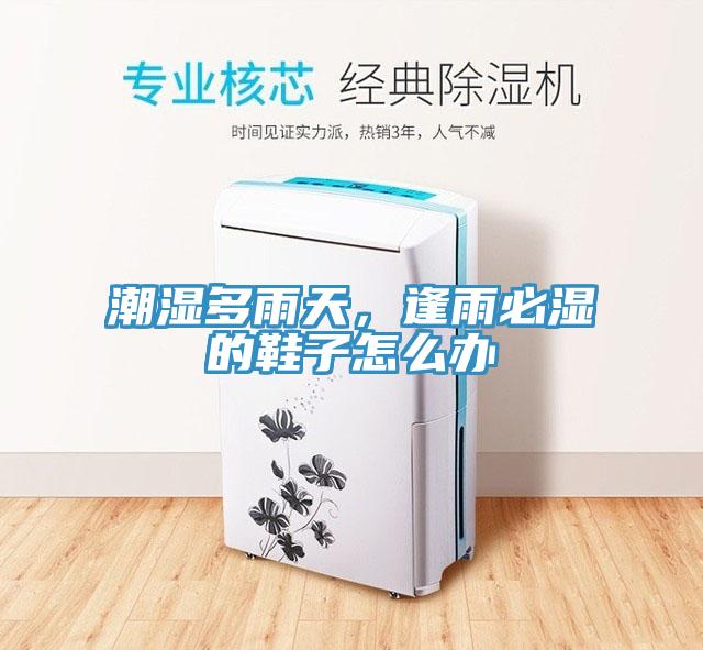 潮濕多雨天，逢雨必濕的鞋子怎麽辦
