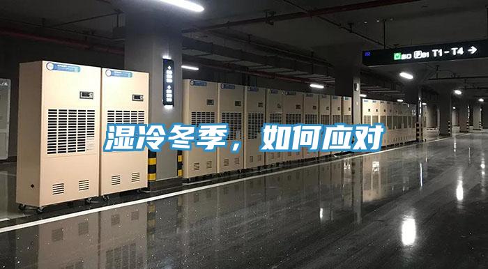 濕冷冬季，如何應對