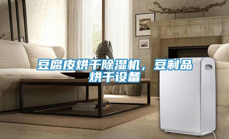 豆腐皮烘幹91看片软件大全，豆製品烘幹設備