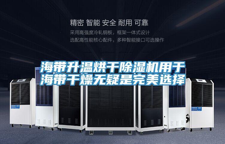 海帶升溫烘幹91看片软件大全用於海帶幹燥無疑是完美選擇