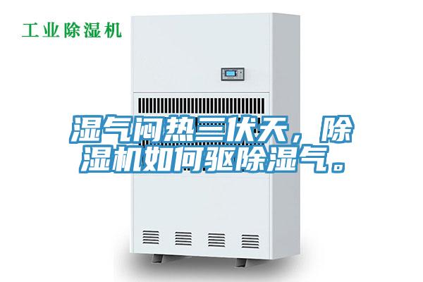濕氣悶熱三伏天，91看片软件大全如何驅除濕氣。