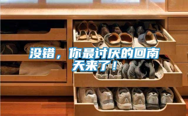 沒錯，你最討厭的回南天來了！
