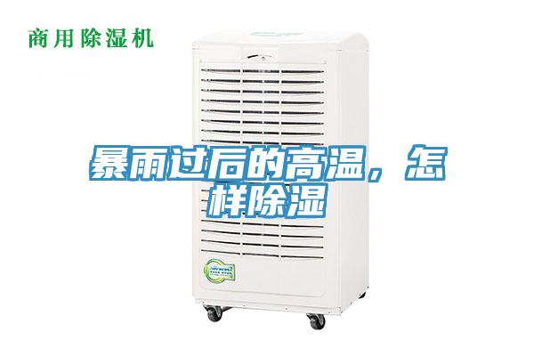 暴雨過後的高溫，怎樣除濕