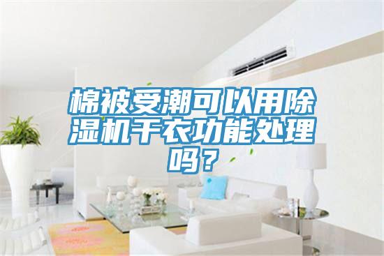 棉被受潮可以用91看片软件大全幹衣功能處理嗎？