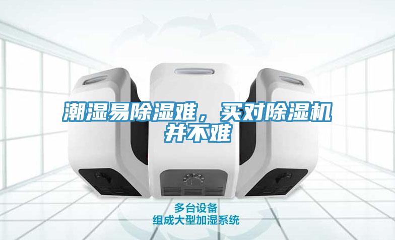 潮濕易除濕難，買對91看片软件大全並不難