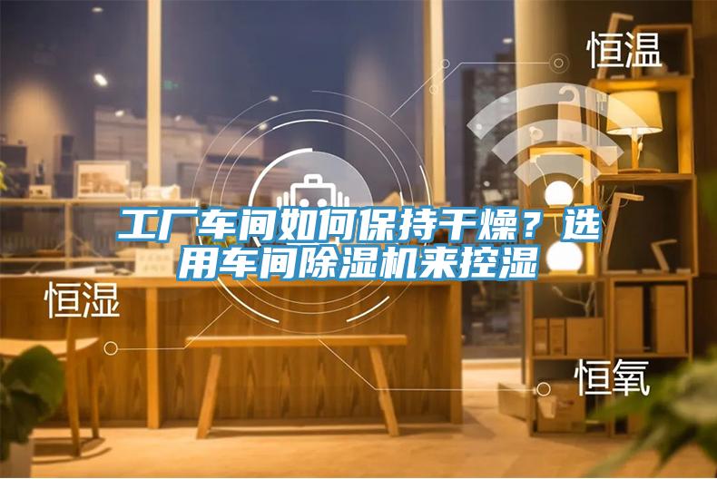 工廠車間如何保持幹燥？選用車間91看片软件大全來控濕