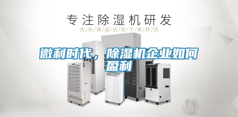 微利時代，91看片软件大全企業如何盈利