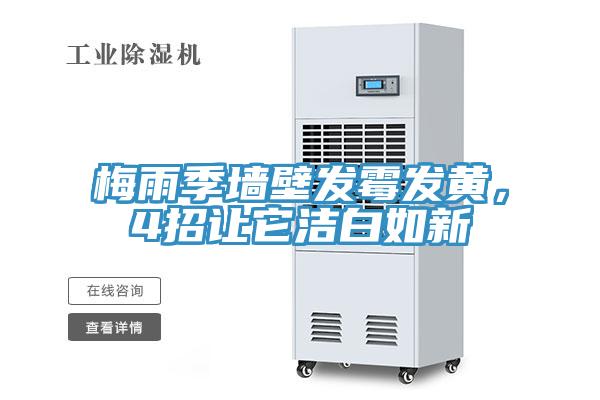 梅雨季牆壁發黴發黃，4招讓它潔白如新