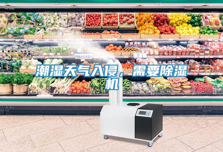 潮濕天氣入侵，需要91看片软件大全