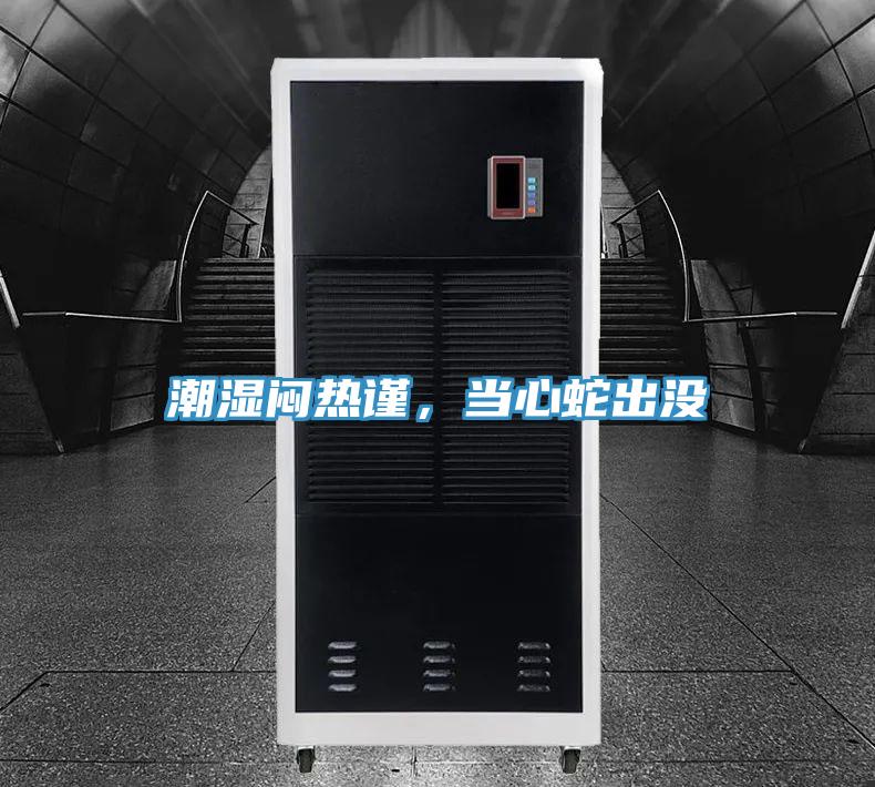 潮濕悶熱謹，當心蛇出沒