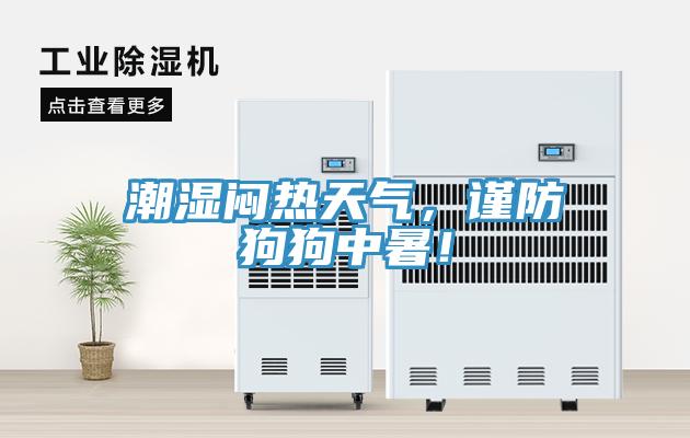 潮濕悶熱天氣，謹防狗狗中暑！