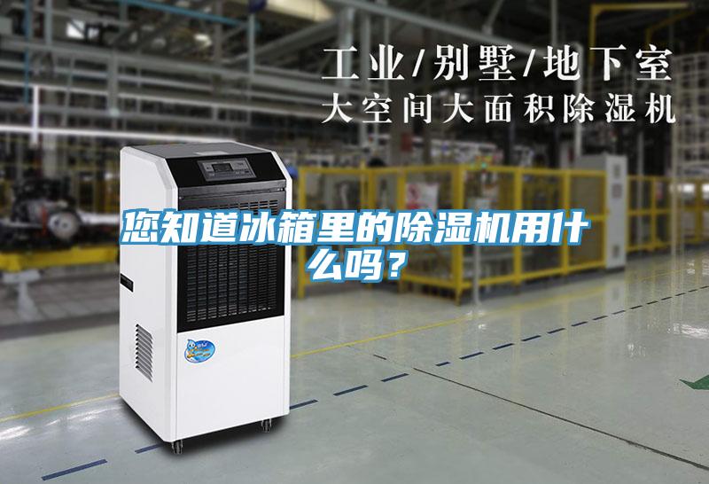 您知道冰箱裏的91看片软件大全用什麽嗎？
