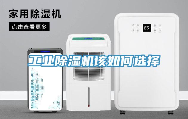 工業91看片软件大全該如何選擇