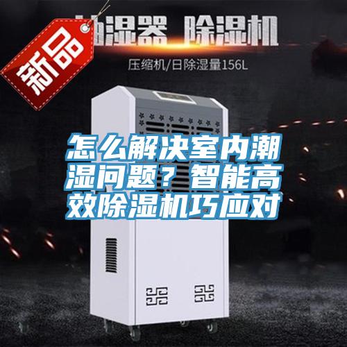 怎麽解決室內潮濕問題？智能高效91看片软件大全巧應對
