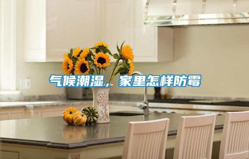 氣候潮濕，家裏怎樣防黴