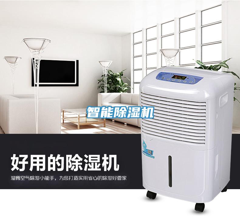 智能91看片软件大全