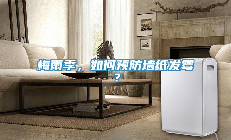 梅雨季，如何預防牆紙發黴？