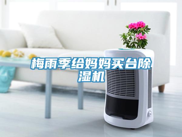 梅雨季給媽媽買台91看片软件大全