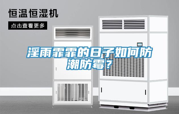 淫雨霏霏的日子如何防潮防黴？
