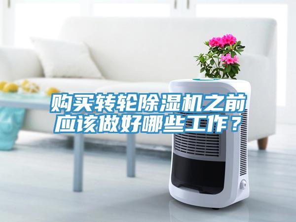 購買轉輪91看片软件大全之前應該做好哪些工作？