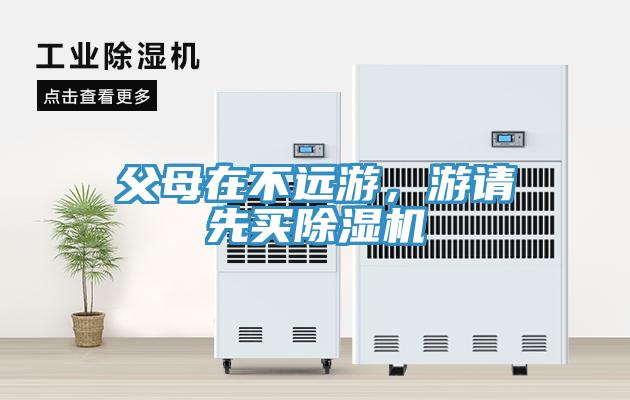 父母在不遠遊，遊請先買91看片软件大全
