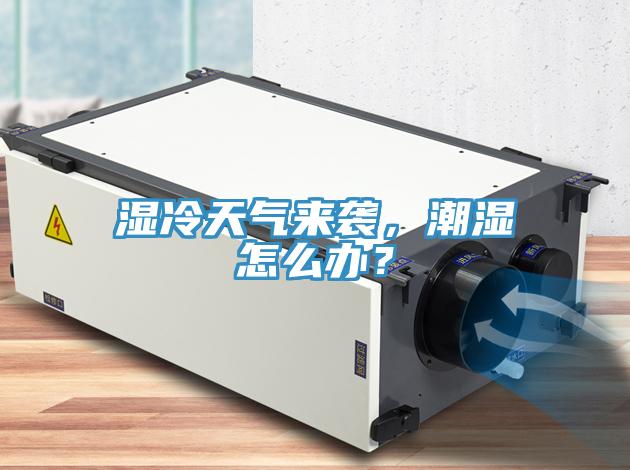 濕冷天氣來襲，潮濕怎麽辦？
