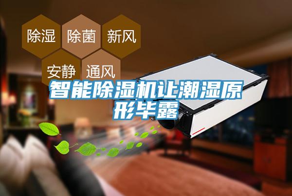 智能91看片软件大全讓潮濕原形畢露