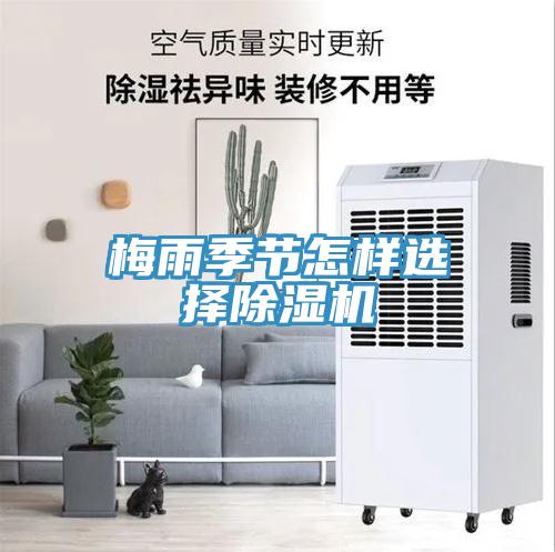 梅雨季節怎樣選擇91看片软件大全