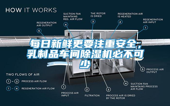 每日新鮮更要注重安全，乳製品車間91看片软件大全必不可少