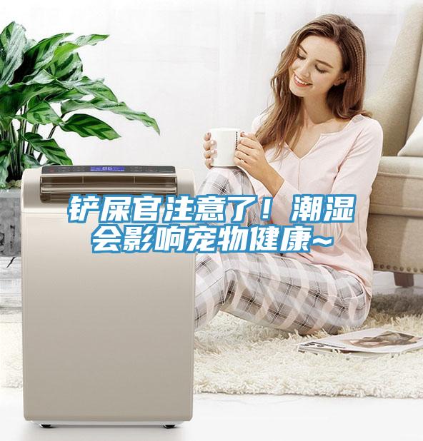 鏟屎官注意了！潮濕會影響寵物健康~