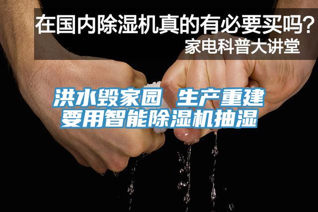 洪水毀家園 生產重建要用智能91看片软件大全抽濕