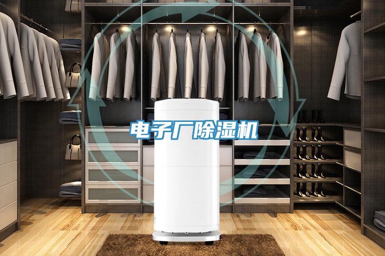 電子廠91看片软件大全