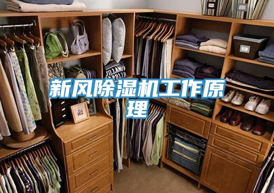 新風91看片软件大全工作原理