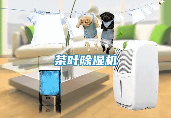 茶葉91看片软件大全