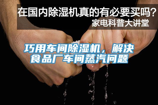 巧用車間91看片软件大全，解決食品廠車間蒸汽問題