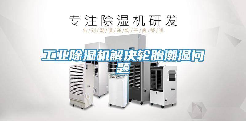 工業91看片软件大全解決輪胎潮濕問題