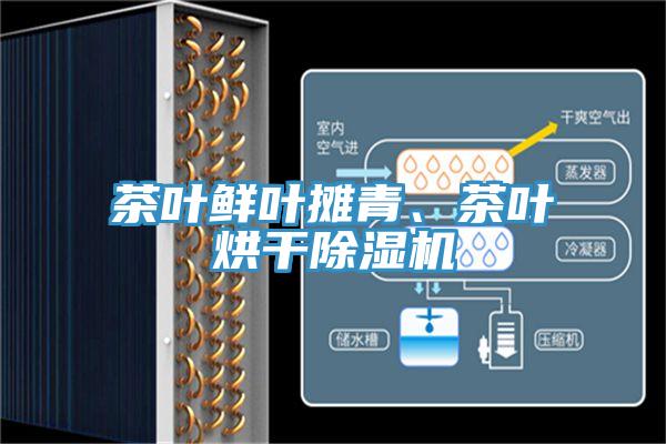 茶葉鮮葉攤青、茶葉烘幹91看片软件大全