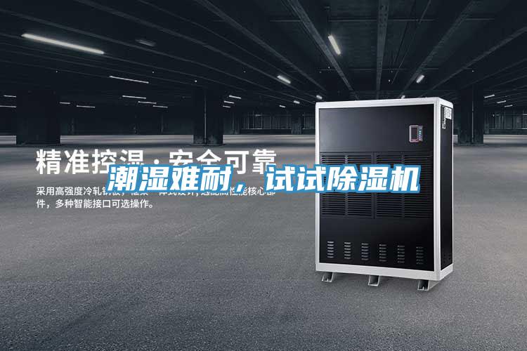 潮濕難耐，試試91看片软件大全