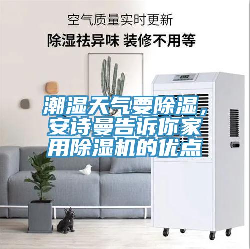 潮濕天氣要除濕，91AV手机看片告訴你家用91看片软件大全的優點