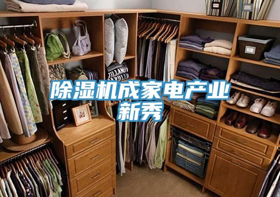 91看片软件大全成家電產業新秀