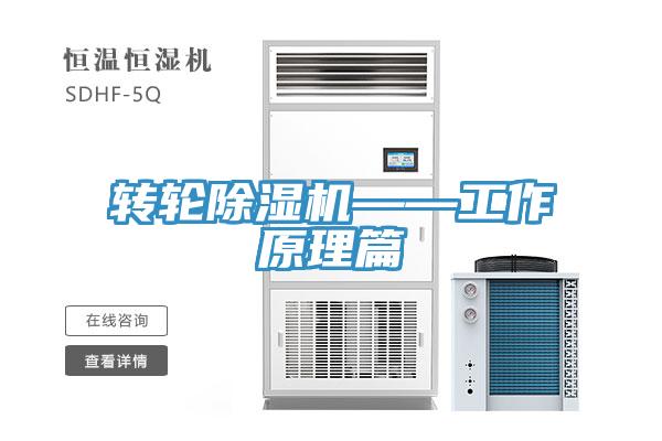 轉輪91看片软件大全——工作原理篇