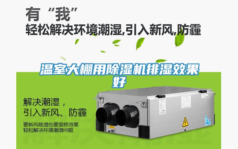 溫室大棚用91看片软件大全排濕效果好