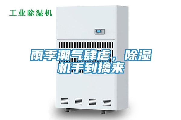 雨季潮氣肆虐，91看片软件大全手到擒來