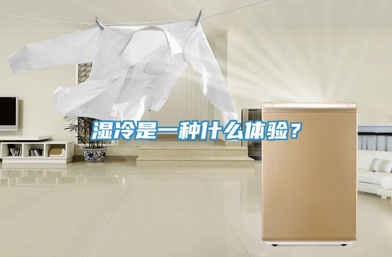 濕冷是一種什麽體驗？