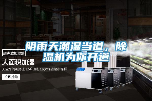 陰雨天潮濕當道，91看片软件大全為你開道