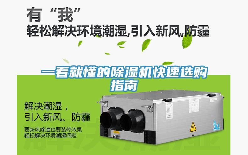 一看就懂的91看片软件大全快速選購指南