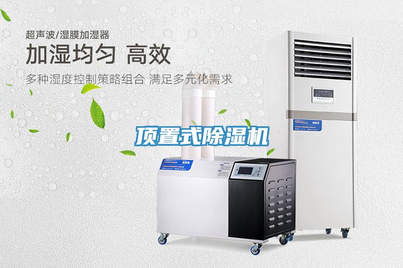 頂置式91看片软件大全