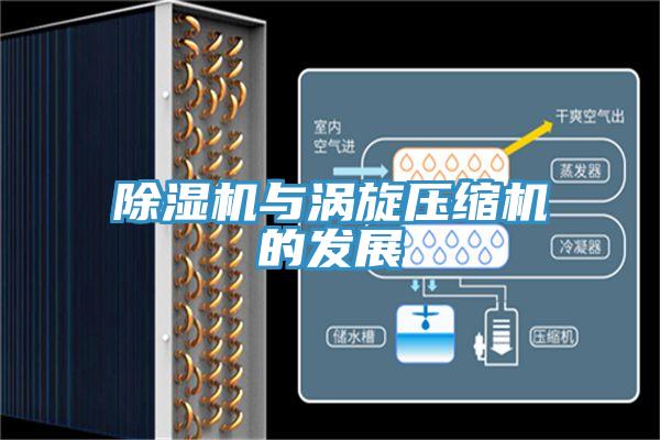 91看片软件大全與渦旋壓縮機的發展