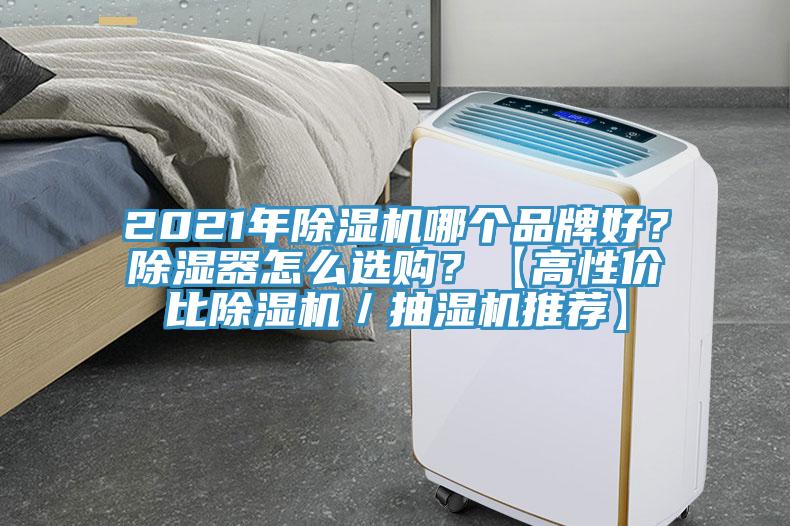 2021年91看片软件大全哪個品牌好？除濕器怎麽選購？【高性價比91看片软件大全／抽濕機推薦】